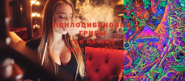 jwh Гусь-Хрустальный